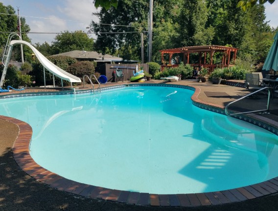 Organic shaped pool with slide - Swimming Pools Service & Repair in Abilene, KS